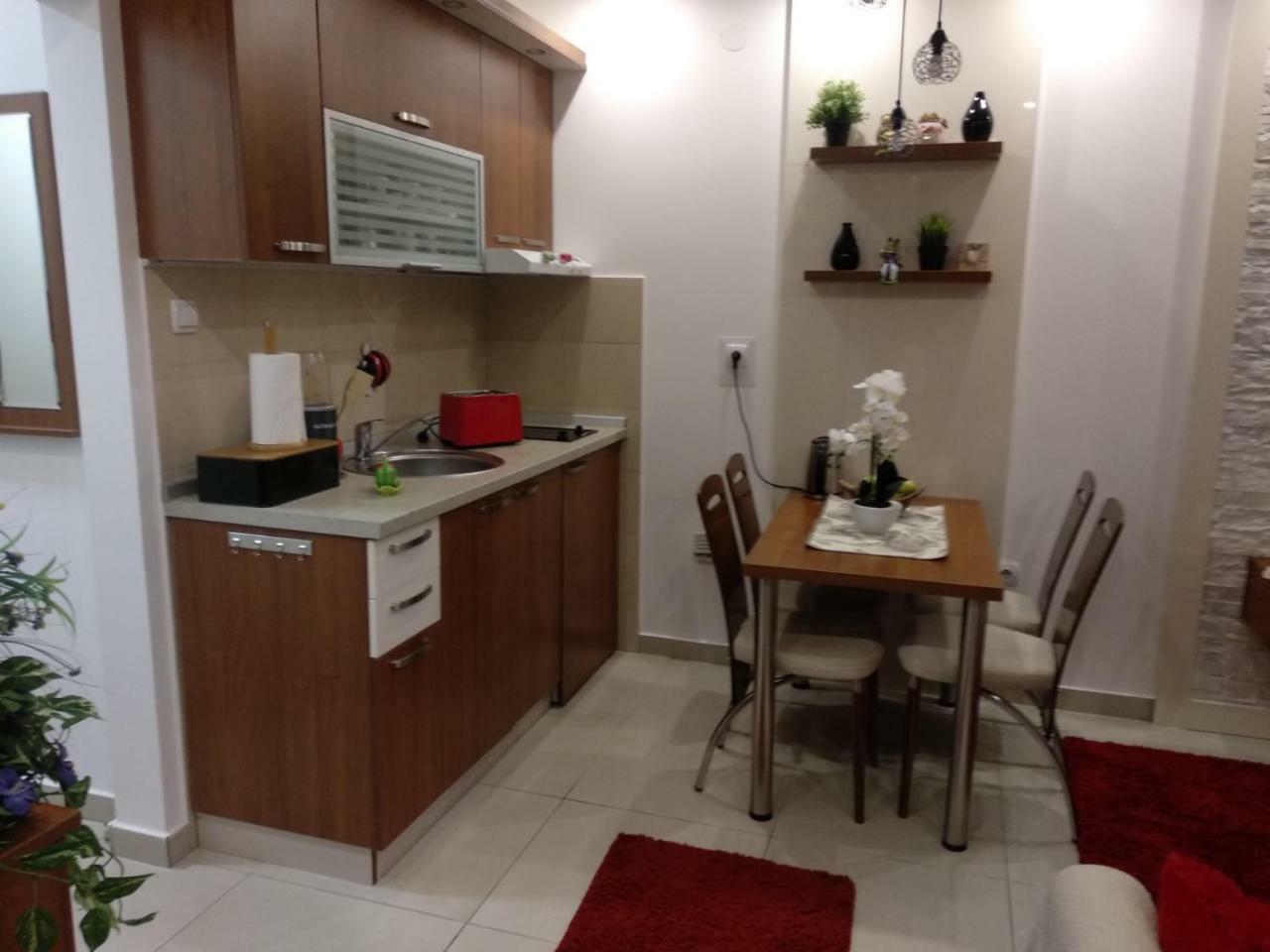 Vesna Apartman Vrnjacka Banja Exterior photo